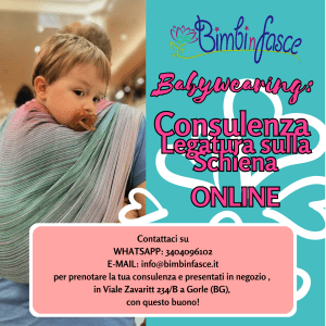 Bimbinfasce – Buono Consulenza Babywearing – Legatura sulla Schiena