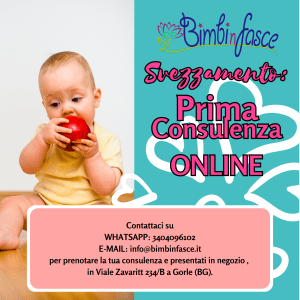 Bimbinfasce – Buono Consulenza Svezzamento – Prima Consulenza